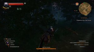 The Witcher 3: Wild Hunt #123 - Сокровища на глубине