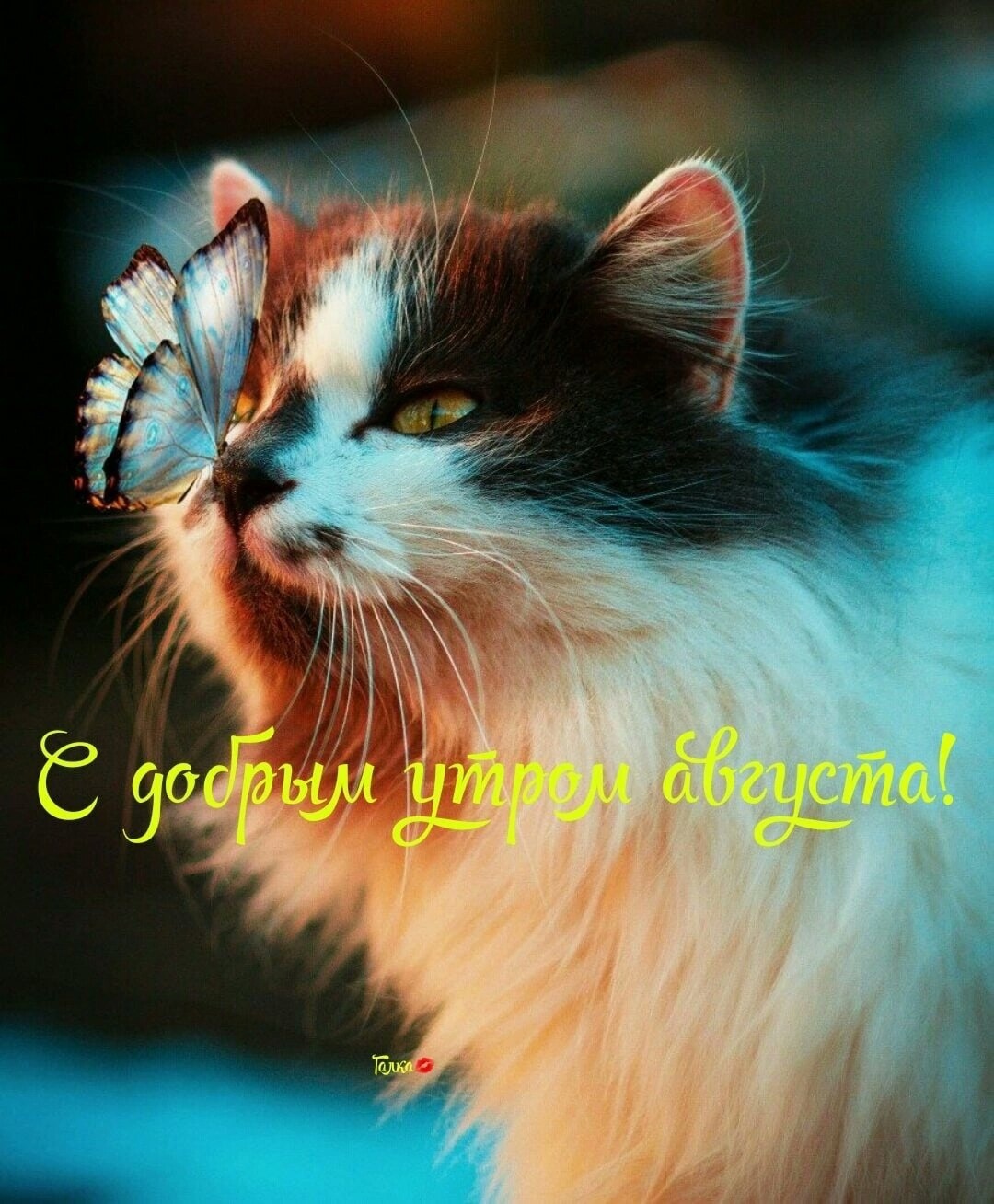 Улыбнись! Музыкальная открытка с пожеланием доброго утра, хорошего дня?