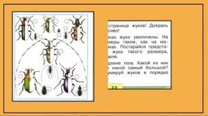 Окружающий мир 1 класс Кто такие насекомые? страница 22-23.