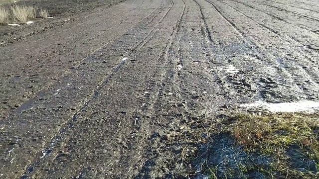 Состояние чеснока на начало января. СРОЧНО покупаем азотные удобрения! смотреть онлайн