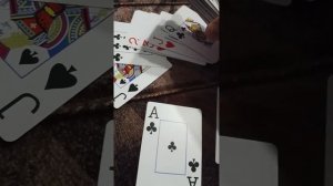 обзор карт "BIRD 888"