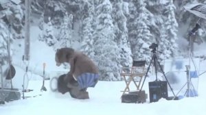 Медведь и Стиральная Машина Реклама Ecobuble)