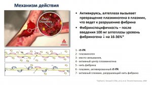 Реперфузионная терапия острейшего периода инсульта