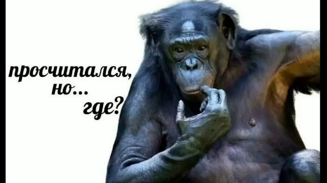 Я Какого ПАШОЛ в ШКОЛУ НО ЗАЧЕММ????????     ( В   Пятницу ) смотреть онлайн