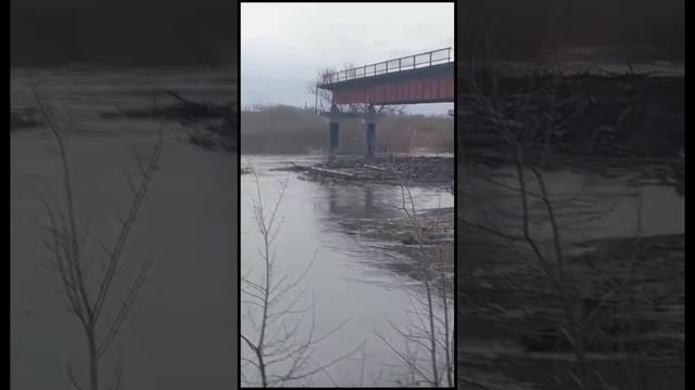 Мост смыло в Темляково и несет течением к Кургану: риск затора в реке / Известия