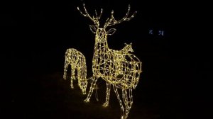 Семья оленей в гирляндах.