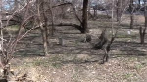 Балхаш-9, дом №50 часть 2