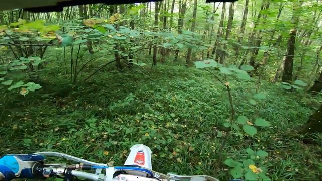 эндуро / и опасный лес / ХА-ХА / BSE M2 regulmoto 300 Алексин смотреть онлайн