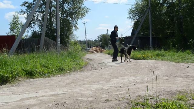 Гордость Криста Легенда Средней Азии (7 мес.) смотреть онлайн