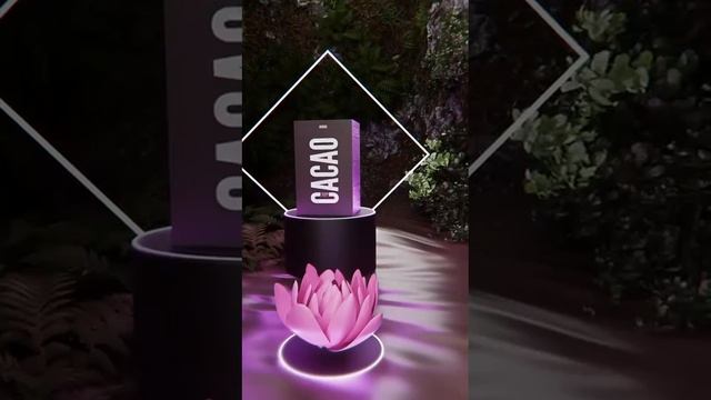 VID-20231209-WA0044.mp4