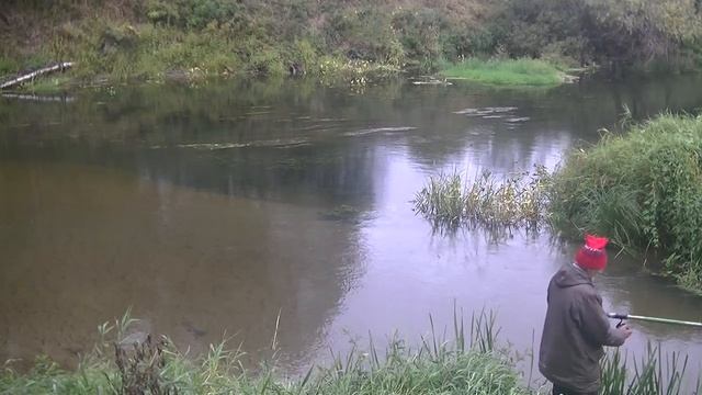 Сплав и отдых в палатке DOME 2 у рек Дубна Веля. Часть 4. 06.09.2022 смотреть онлайн