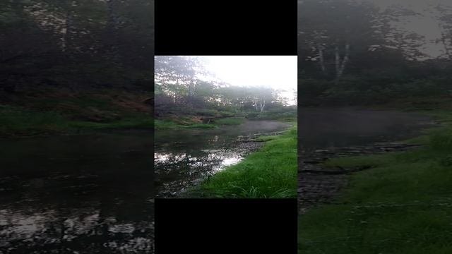 Таежная речка