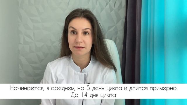 Менструальный цикл женщины смотреть онлайн