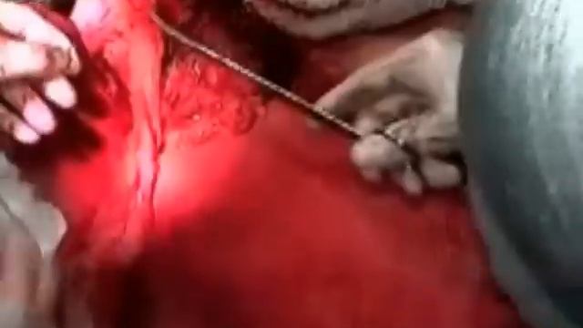 shymkent bsmp смотреть онлайн