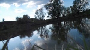 Сумасшедший клев. Карась на червя.Рыбалка на карася весной .Fishing for crucian .