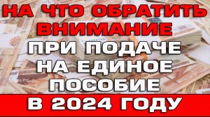 На что обратить внимание при подаче на Единое пособие в 2024 году