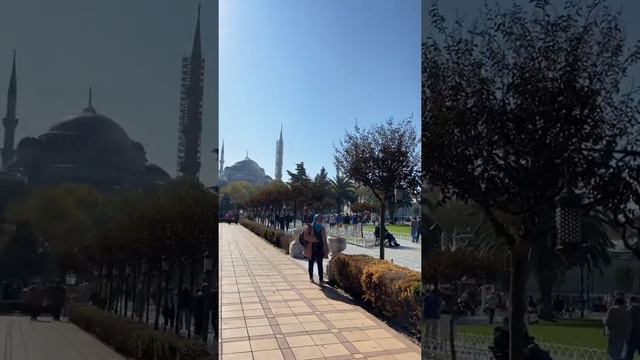 Традиционное начало или Пересадка в Стамбуле смотреть онлайн