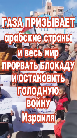 Газа призывает арабские страны и весь мир прорвать блокаду и остановить голодную войну Израиля.