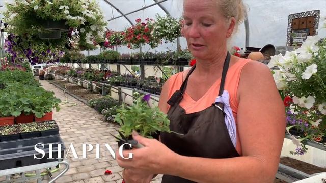 MY TIPS & TRICKS: Care & Maintenance for Hanging Baskets смотреть онлайн