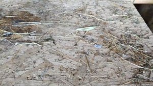 "Девичье " молоко у козочки. У кого нет проблем?!