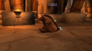 wow bear rapes tauren