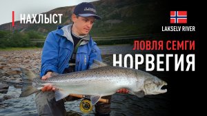 Ловля СЕМГИ в НОРВЕГИИ, река LAKSELV. Тактика ловли и рабочие мушки.
