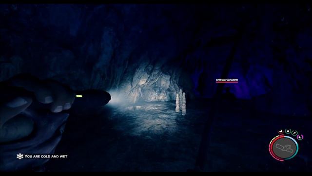 Gold Armor! Sons of the Forest: Part 7 смотреть онлайн