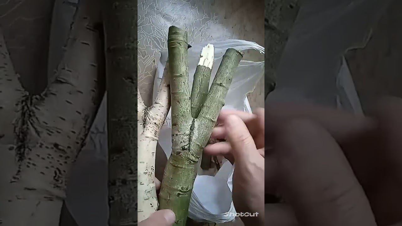 Хороший улов заготовок. смотреть онлайн