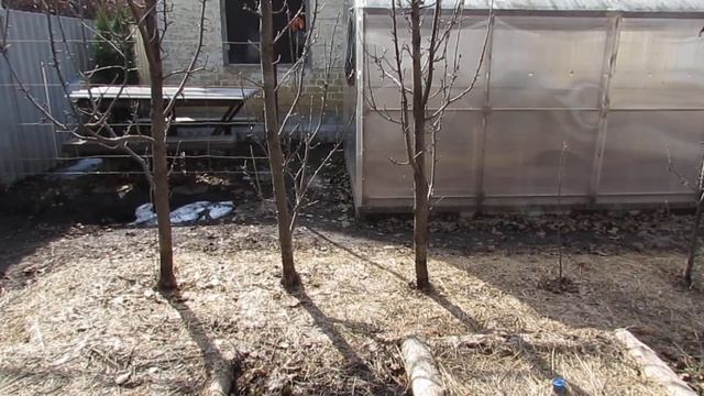 Весна 2019. Замена старых яблонь... смотреть онлайн