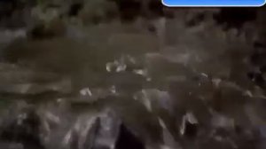 лучшие видео Мир до и после Колумба 2 часть.