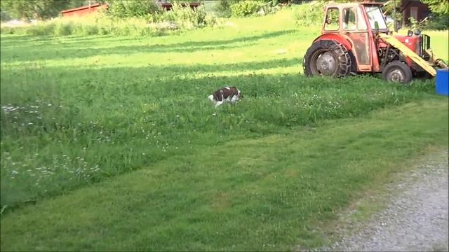 Sony DSC-HX50V Test video