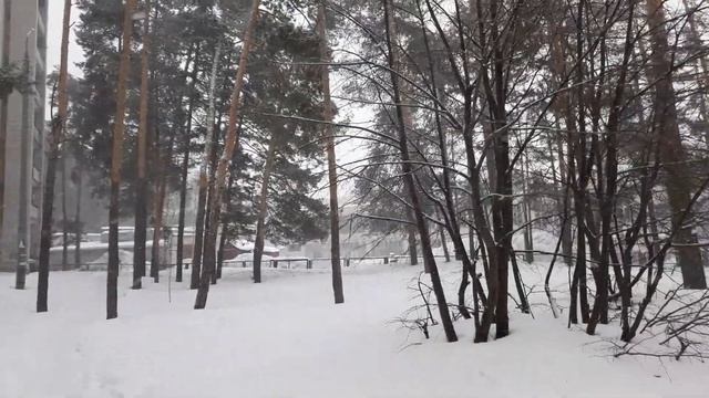 Зимняя сказка продолжается 30.01. 2023. 3×10=30 Трижды попадаем в 10, загадайте желания! Подпишитес смотреть онлайн