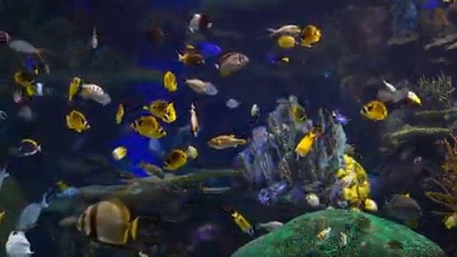 Успокаивающая музыка | Медитация | Музыка для чакр | Активация и баланс | Самовнушение | Йога смотреть онлайн