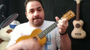 Ukulele Mahalo MH2VNA concert