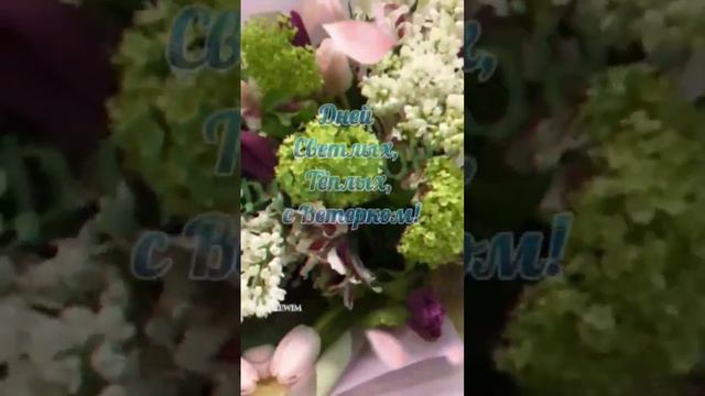 Весеннего настроения!#пожелание #светлыхдней #веснывдушевсем #май #андрейдержавин ☀️ смотреть онлайн