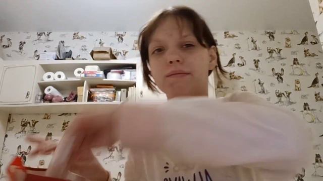 🎄✨Собираю подарок на Тайного Санту ✨🎄 смотреть онлайн