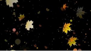 Осенние листья | осень | листопад | leaves | футажи | ФутаЖОР