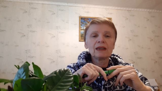 Транжирство и накопления: две грани финансов.