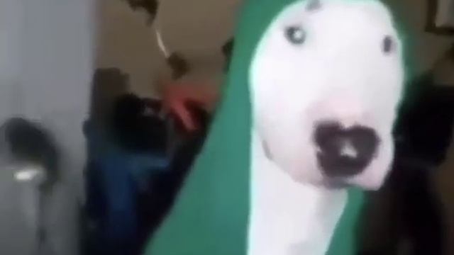 собака со сковородкой смотреть онлайн