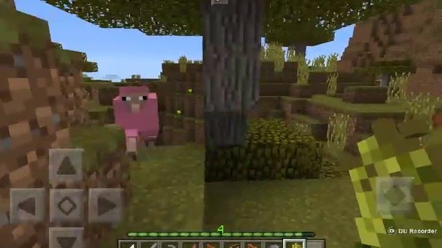 Родилась розовая овца!!! Как это круто смотреть онлайн