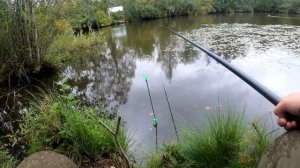 Рыбалка в СПб и Ленобласти .Первые карасики за 10 лет