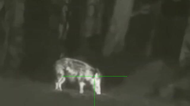 Rico RL 42 lov prasete смотреть онлайн