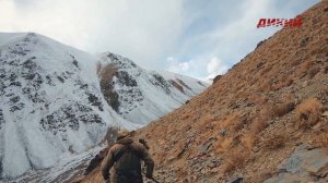 Горная охота Эдуарда Бендерского. Таджикистан. Новая серия. Скоро!