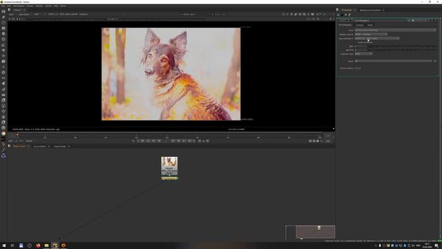 Разбираемся с OCIO v2 в Nuke и Blender смотреть онлайн