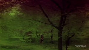 Bhor-Bhaye-Panghat-Pe---Zeenat-Aman---Shashi-Kapoor---Satyam-Shivam-Sundaram---Bollywood--Songs