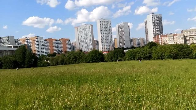 Ландшафтный парк Митино. Прогулка.