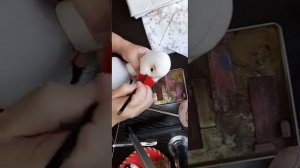 МК  ПАКЕТНИЦА  ГУСЫНЯ