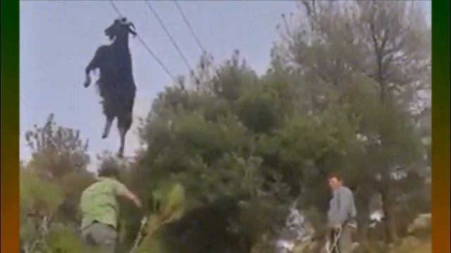 А на даче всё иначе .... смотреть онлайн