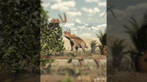 Трицератопс! ?#Интересно #трицератопс #ютюб #динозавры #подписчики #цератопсы