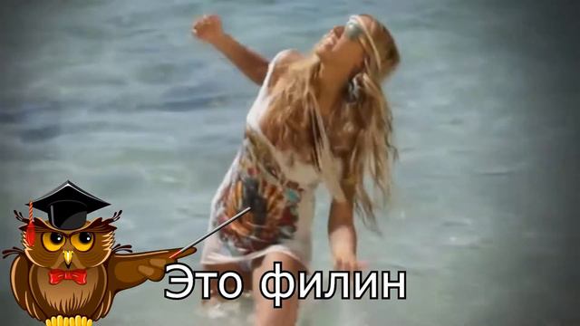 Показалось! №8: Перезапуск смотреть онлайн